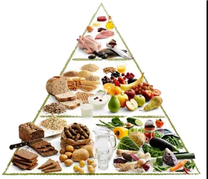Food Pyramid Nutrition Guide PNG