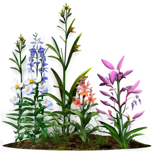 Forest Edge Wildflowers Png Okg25 PNG Image