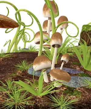 Forest_ Mushrooms_ Digital_ Rendering PNG Image