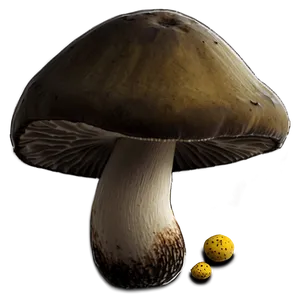 Forest Mushrooms PNG 05242024 PNG