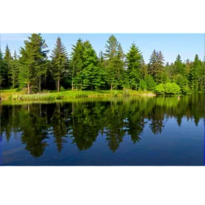 Forest Pond View Png Eom64 PNG Image