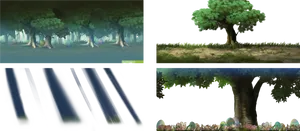 Forest Scenes Variations.jpg PNG
