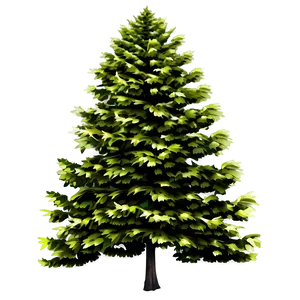 Forest Tree Elevation Png 7 PNG Image