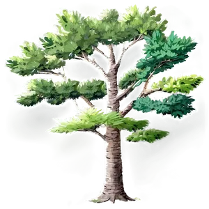 Forest Tree Elevation Png Obi62 PNG Image