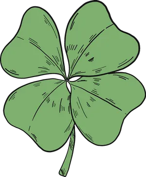 Four Leaf Clover Illustration PNG Image