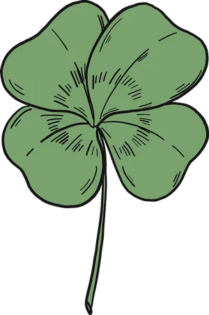 Four Leaf Clover Illustration.png PNG Image