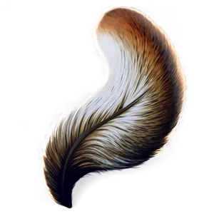 Fox Tail Illustration Png 5 PNG Image