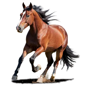 Free Spirit Horse Running Png Rtv77 PNG Image