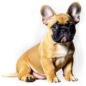 French Bulldog Puppy Png Dsu68 PNG Image