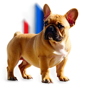 French Bulldog Silhouette Png Imn PNG Image