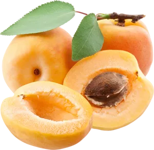 Fresh Apricots Display PNG Image