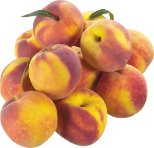 Fresh Apricots Pile Transparent Background PNG Image