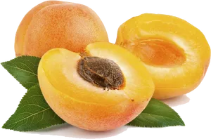 Fresh Apricots With Leaves PNG Image