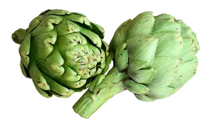 Fresh Artichokes Isolated PNG Image