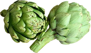 Fresh Artichokes Isolated PNG Image