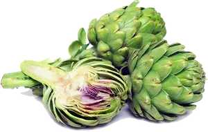 Fresh Artichokes Wholeand Halved PNG Image