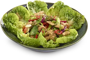 Fresh Asian Chicken Salad PNG Image