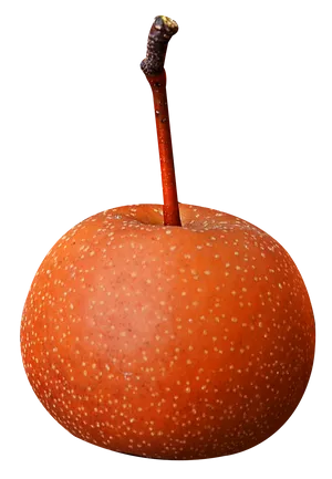 Fresh Asian Pear Fruit PNG Image