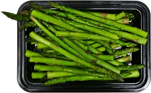 Fresh Asparagus Bunch Container PNG Image