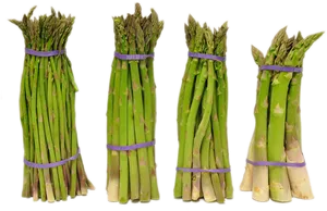 Fresh Asparagus Bunches.png PNG Image