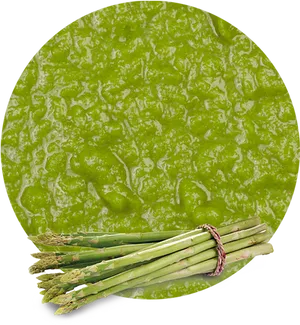 Fresh Asparagus Bundle Green Background PNG Image