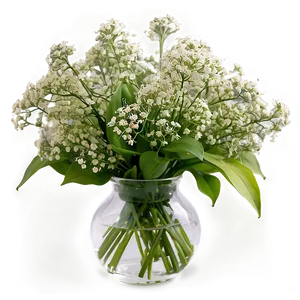 Fresh Baby's Breath Arrangement Png Mky PNG Image