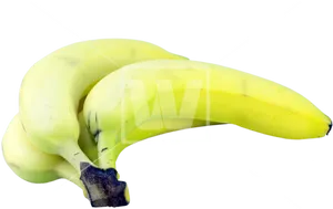 Fresh Bananas Black Background PNG Image