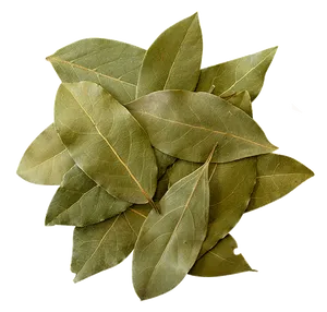 Fresh Bay Leaves Isolatedon Black Background PNG Image