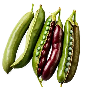 Fresh Bean Image Png 41 PNG Image