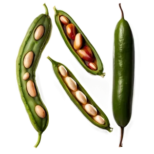 Fresh Bean Image Png Smt57 PNG Image