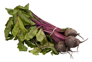 Fresh Beetroot Bunchwith Leaves PNG
