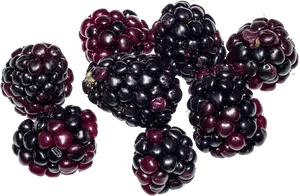 Fresh Blackberries Cluster.png PNG Image