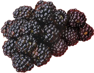 Fresh Blackberries Cluster PNG Image