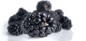 Fresh Blackberries Display PNG Image