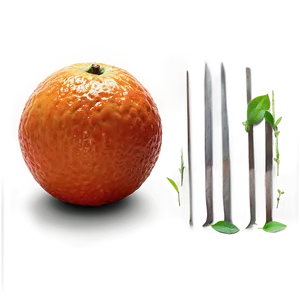 Fresh Blood Orange Png Bbc25 PNG Image