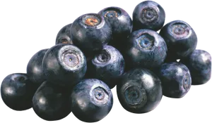 Fresh Blueberries Cluster.png PNG Image