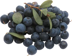 Fresh Blueberries Cluster.png PNG Image