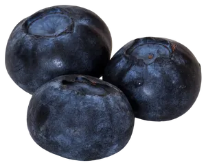 Fresh Blueberries Isolated PNG Image