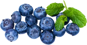 Fresh Blueberries With Mint Leaves.png PNG Image