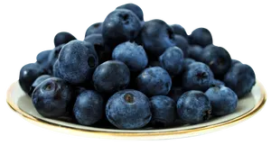 Fresh Blueberrieson Plate PNG Image