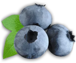 Fresh Blueberrieswith Leaf PNG
