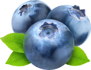 Fresh Blueberrieswith Leaves PNG Image