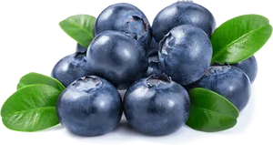 Fresh Blueberrieswith Leaves.png PNG Image