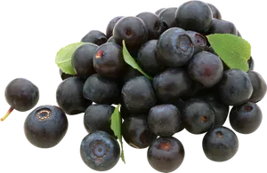 Fresh Blueberrieswith Leaves.png PNG Image