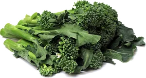 Fresh Broccoli Bunch Isolated PNG Image