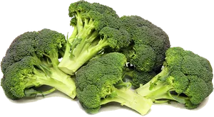 Fresh Broccoli Bunches.png PNG Image