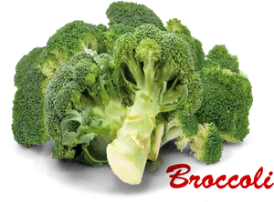 Fresh Broccoli Clusterwith Text PNG Image