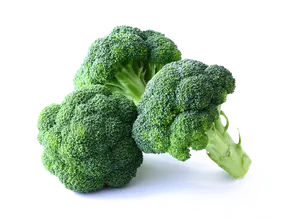 Fresh Broccoli Isolatedon Background PNG Image