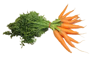 Fresh Bunchof Carrots PNG Image