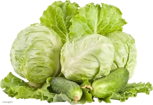 Fresh Cabbageand Cucumbers PNG Image